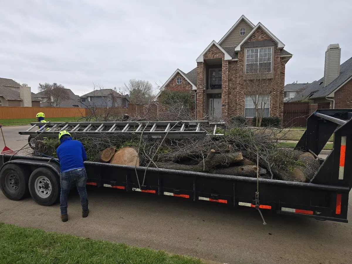 Expert Lot Clearing with proper safety equipment in Spring House